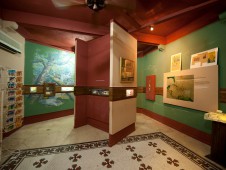 琥珀博物馆（Museo del Ámbar）