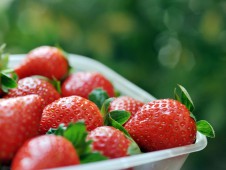 当地盛产的草莓通常被康斯坦萨的餐厅制成种类繁多的美味佳肴和可口佳饮。