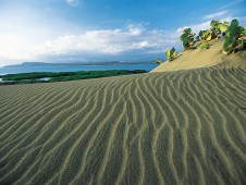 巴拉奥纳-巴尼沙丘（Bani Dunes）