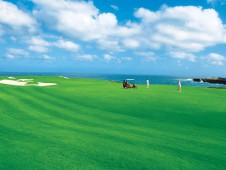 蓬塔埃斯帕达高尔夫球场（Punta Espada Golf Course）